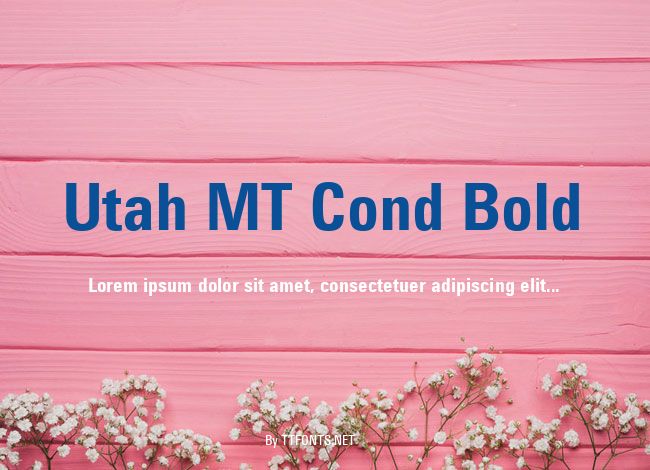 Utah MT Cond Bold example